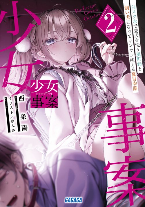 少女事案 2