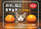 Eテレ0655 おれ、ねこBOOK（おれ、ねこDVD付き）