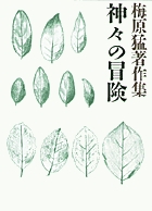 梅原猛著作集18 神々の冒険