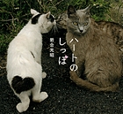 ハートのしっぽ