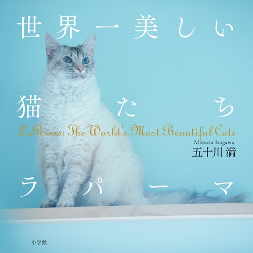 世界一美しい猫たちラパーマ