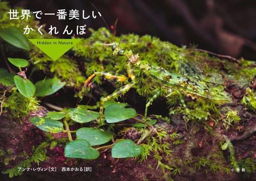 世界で一番美しいかくれんぼ