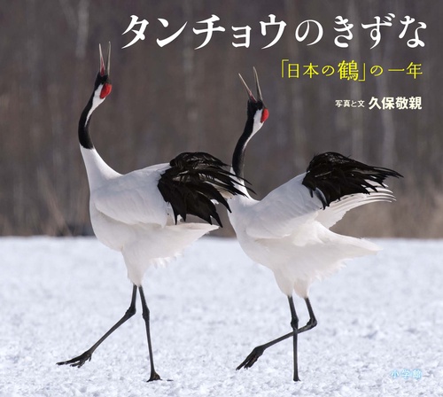 タンチョウのきずな