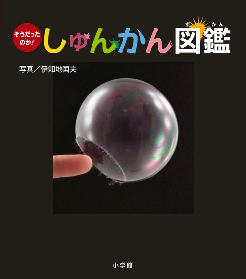 しゅんかん図鑑 そうだったのか!