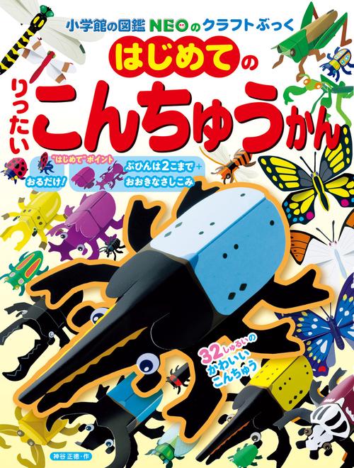はじめてのりったいこんちゅうかん