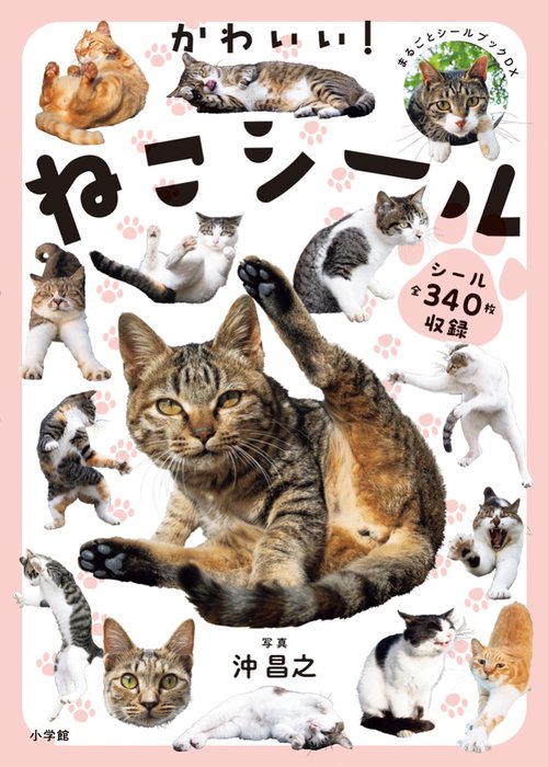 かわいい！ねこシール