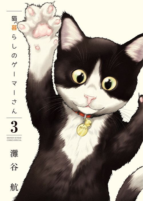猫暮らしのゲーマーさん 3