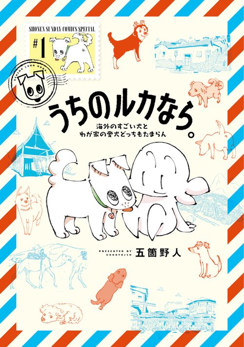 うちのルカなら。 海外のすごい犬とわが家の愛犬どっちもたまらん 1