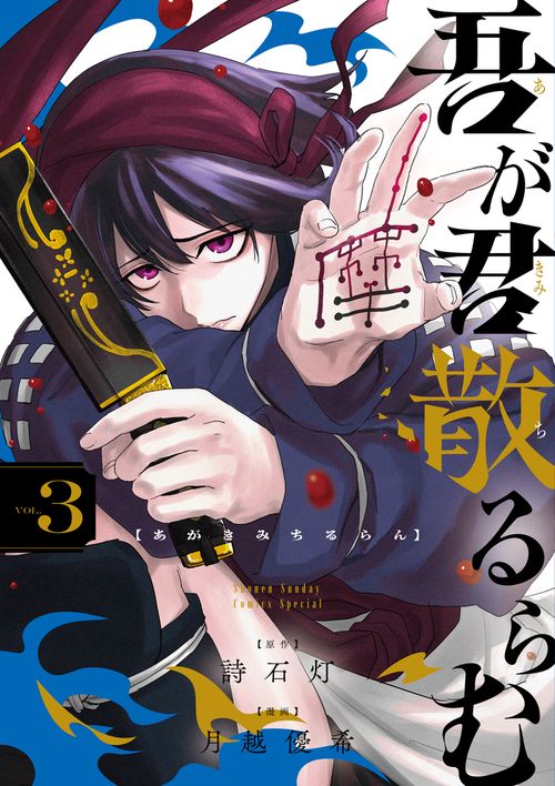 吾が君散るらむ