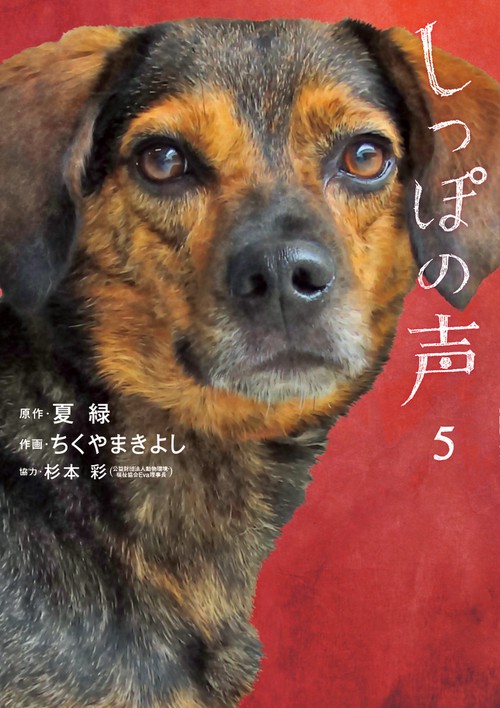しっぽの声 5