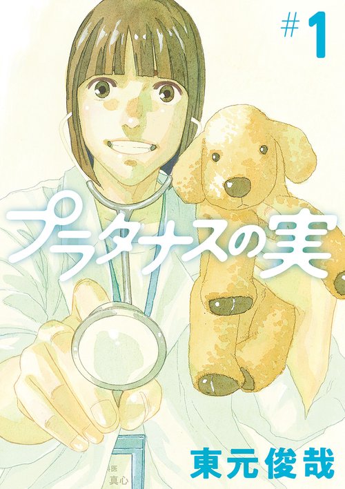 プラタナスの実 1