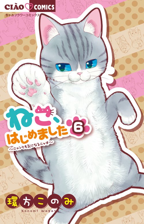 ねこ、はじめました 6