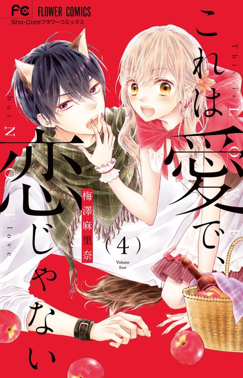 これは愛で、恋じゃない 4
