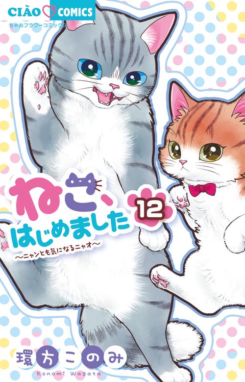 ねこ、はじめました 12