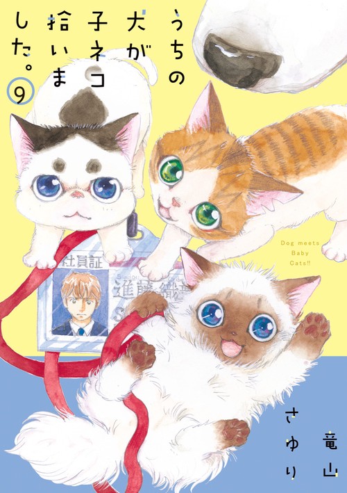 うちの犬が子ネコ拾いました。 第9巻