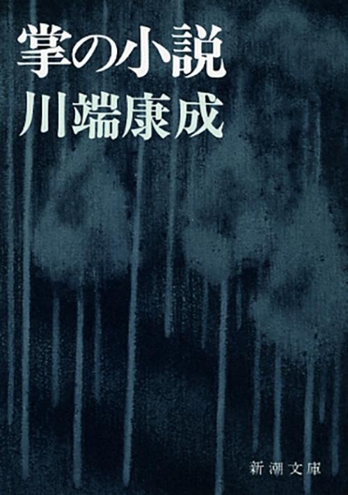 掌の小説