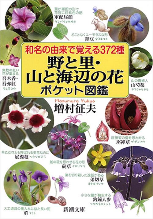 和名の由来で覚える372種野と里・山と海辺の花ポケット図鑑