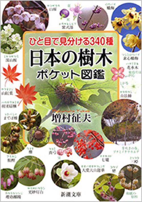日本の樹木ポケット図鑑 ひと目で見分ける340種