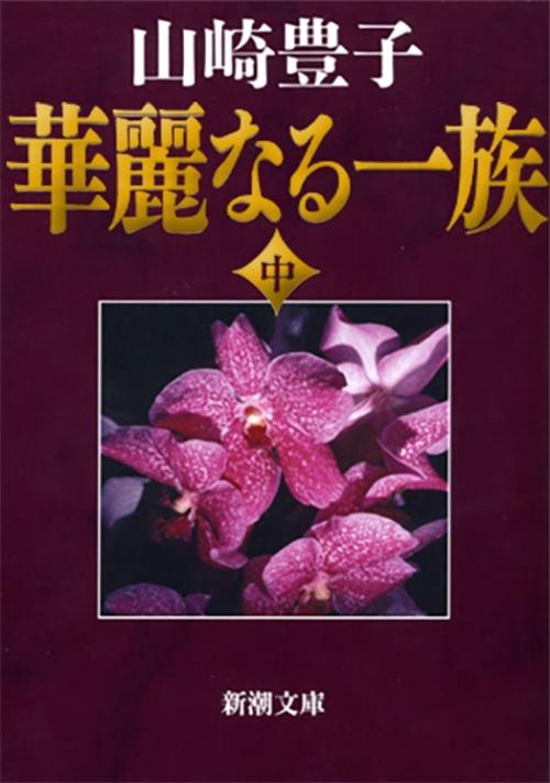華麗なる一族 中