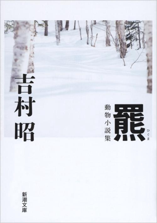 羆（ひぐま）