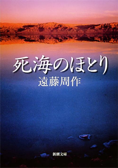 死海のほとり