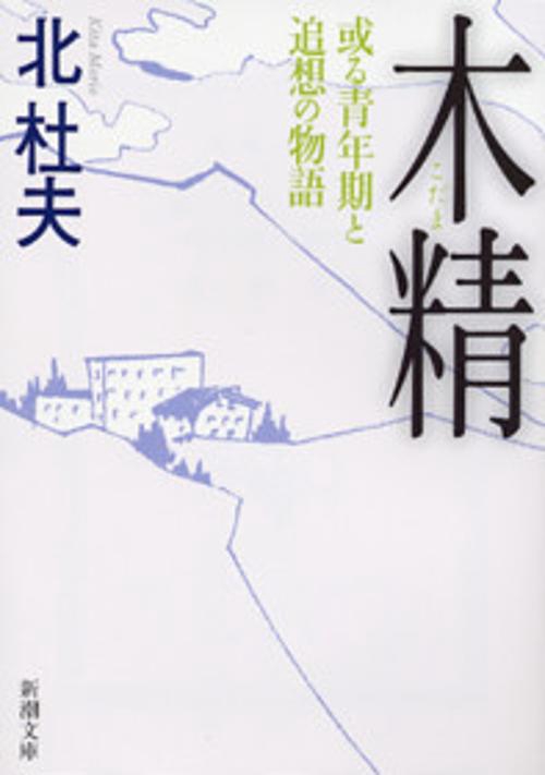 木精