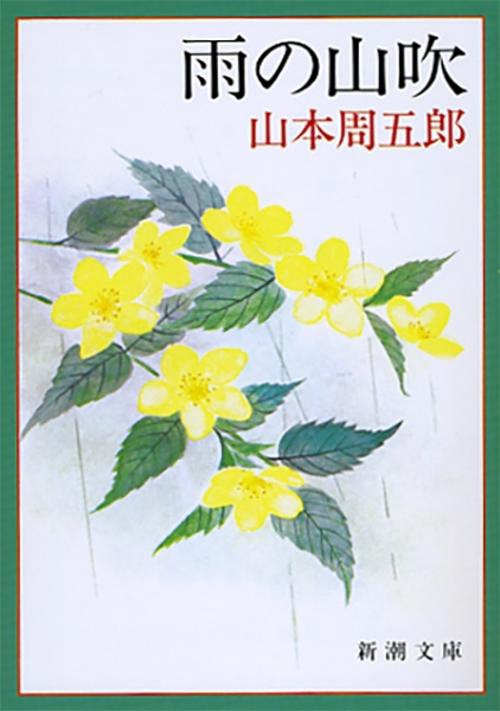 雨の山吹