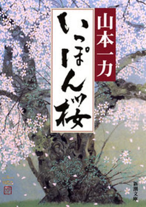いっぽん桜