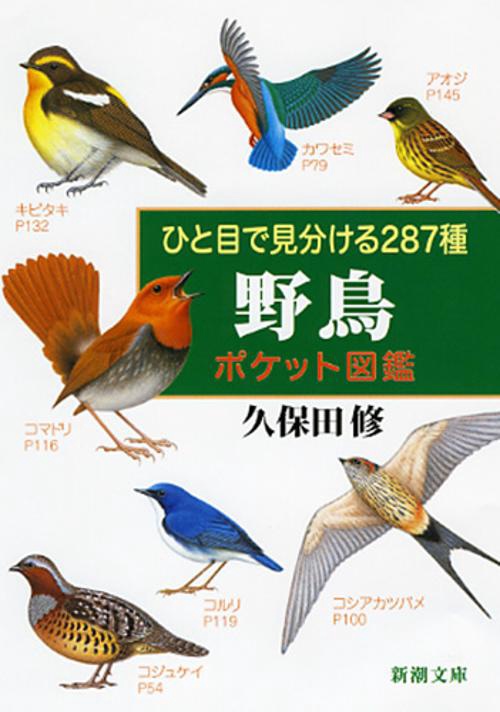 ひと目で見分ける２８７種 野鳥ポケット図鑑