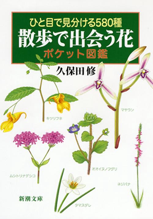 散歩で出会う花ポケット図鑑 ひと目で見分ける580種