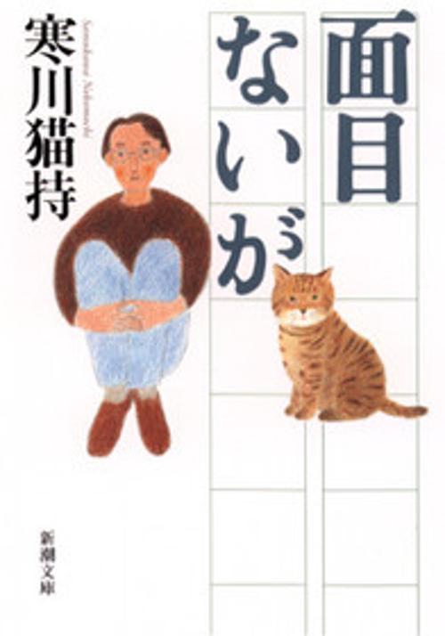 面目ないが