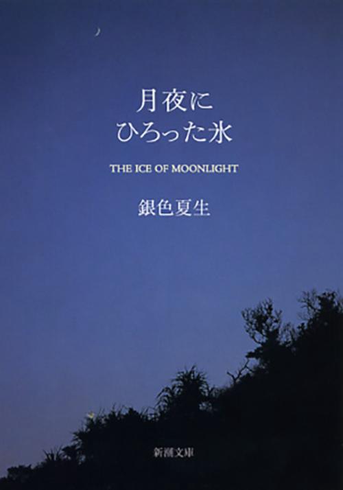 月夜にひろった氷
