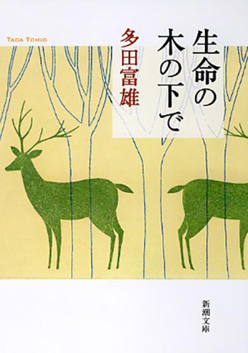 生命の木の下で