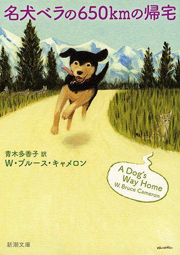 名犬ベラの６５０ｋｍの帰宅