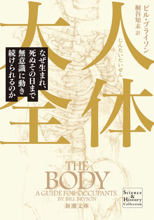 人体大全