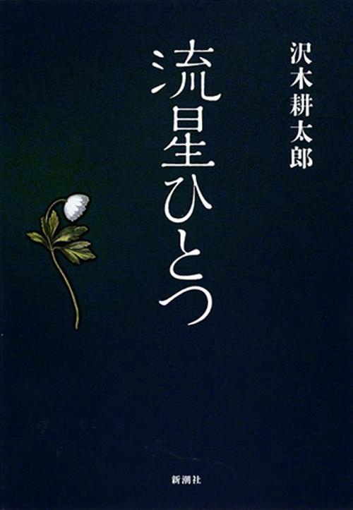 流星ひとつ