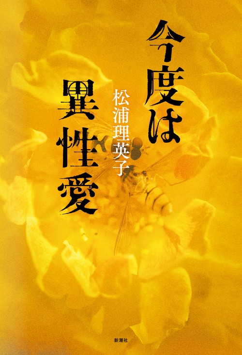 今度は異性愛
