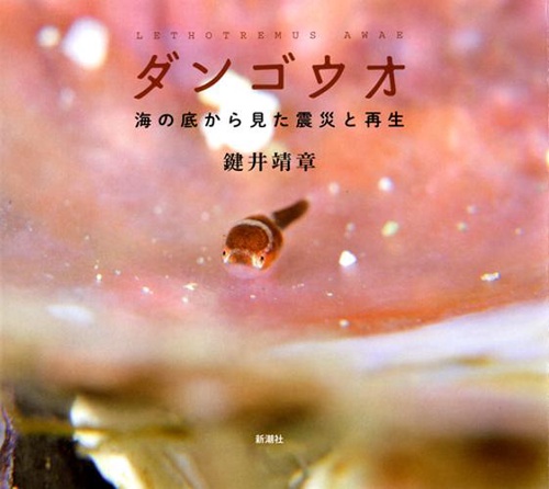 ダンゴウオ 海の底から見た震災と再生