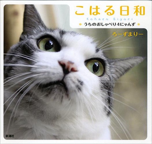 こはる日和 うちのおしゃべり4にゃんず