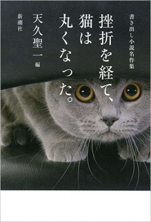 挫折を経て、猫は丸くなった。 書き出し小説名作集