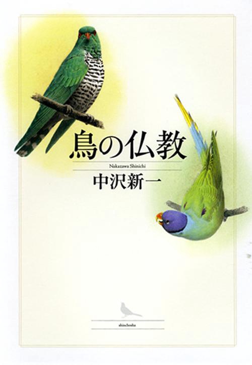 鳥の仏教