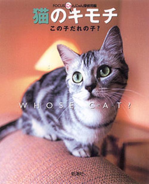 猫のキモチこの子だれの子