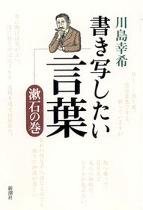 書き写したい言葉 漱石の巻