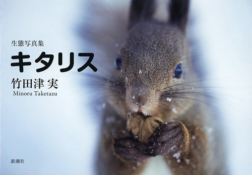 生態写真集 キタリス