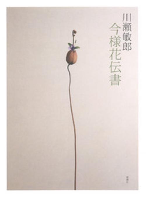 川瀬敏郎 今様花伝書