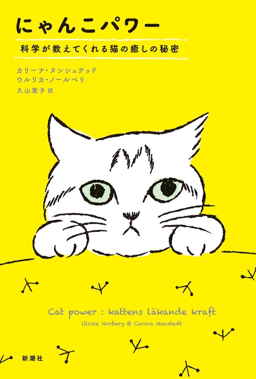にゃんこパワー