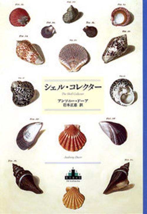 シェル・コレクター