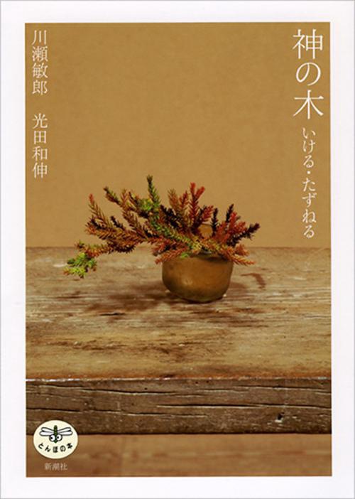 神の木 いける・たずねる