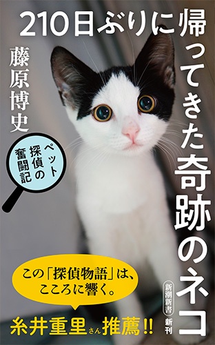２１０日ぶりに帰ってきた奇跡のネコ