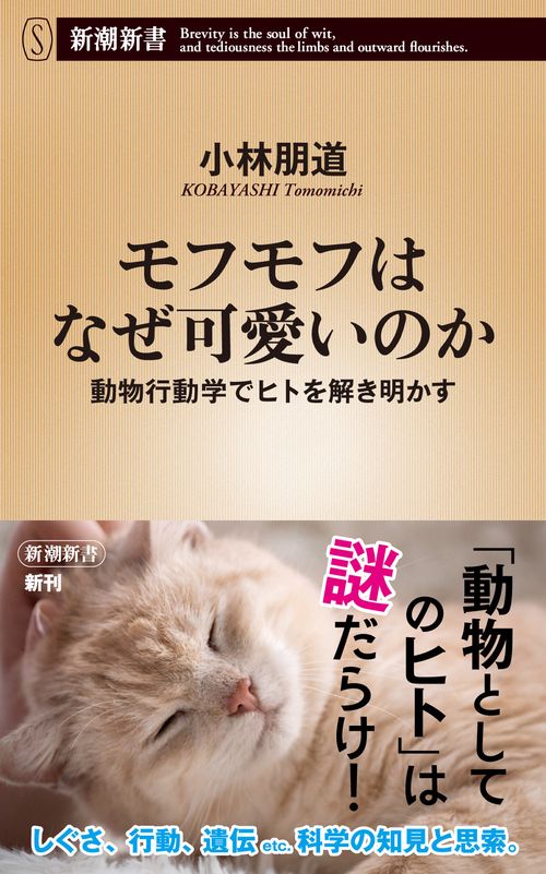 モフモフはなぜ可愛いのか